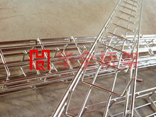 ż