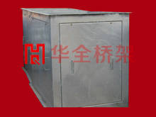 ż